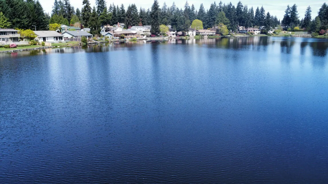 Twin Lakes shoreline in Federal Way seen from above, with the Lakeside Retreat family lake house among the trees